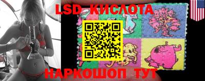 a pvp Аргун