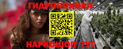 a pvp Аргун