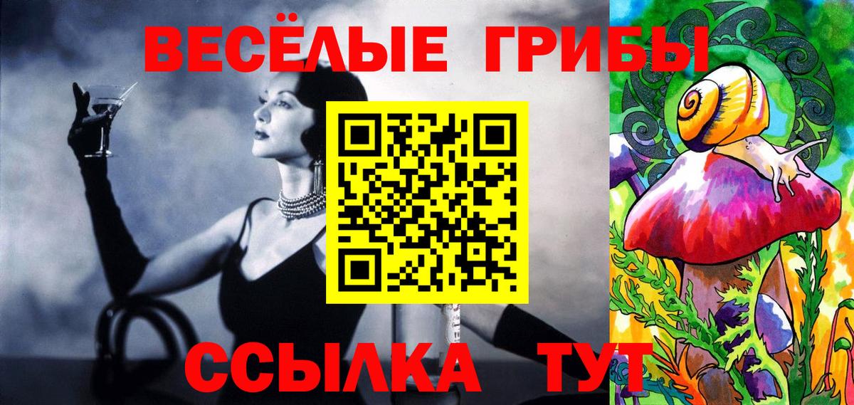 Псилоцибиновые грибы Psilocybe  Вход с VPN  Великий Новгород 